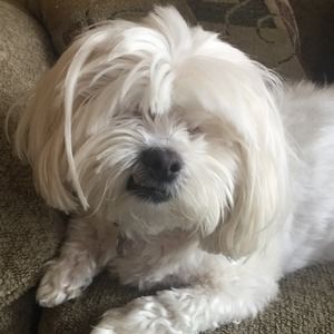 Meet your Posher, Jill